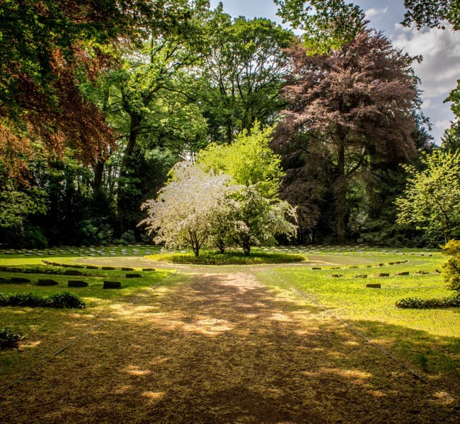 Highgrove Gardens
