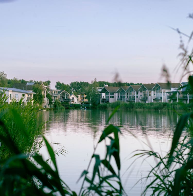 Lower Mill Estate