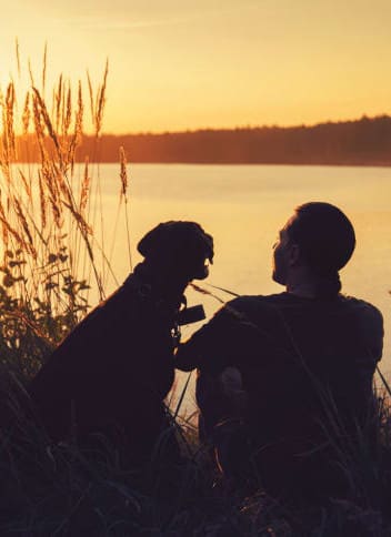 Pet Friendly Lodges